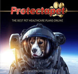 Dog in Space suit advertising the best online Pet healthcare plans by Protectapet